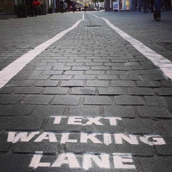 walking_lane_for_text_addicts_in_belgium-26866