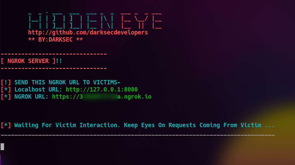 Figura 11: Phishing up and running