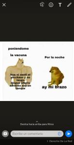 enviar por WhatsApp fotos que se autodestruyen