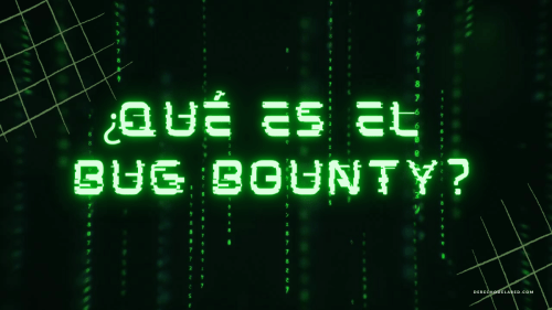 bug bounty