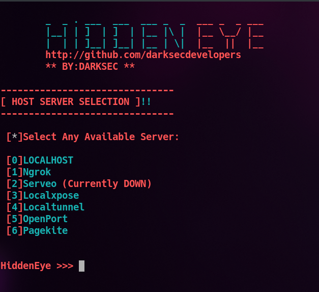 Figura 10: Selección del servicio