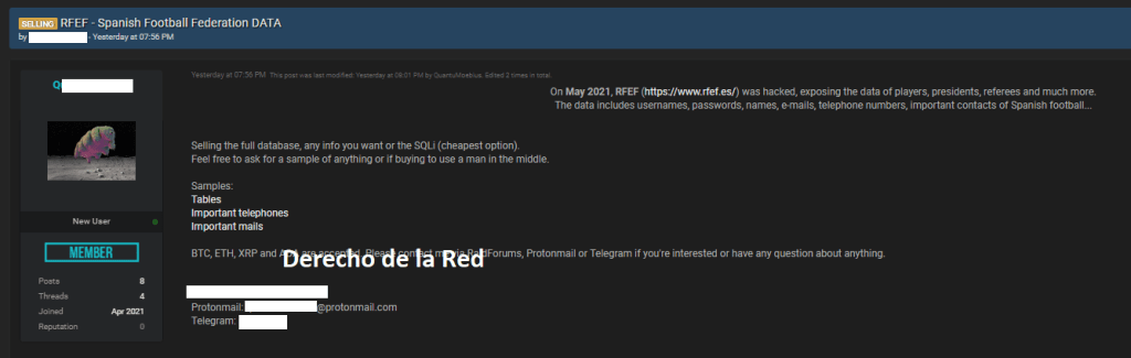 Real Federación Española de Fútbol