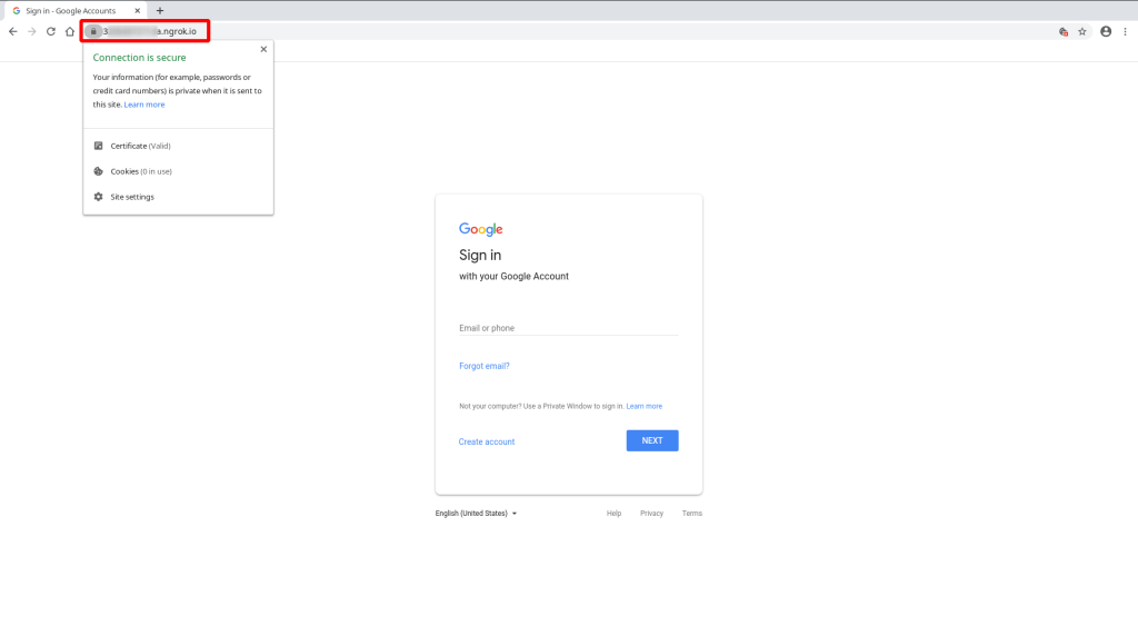 Figura 12: Web Phishing